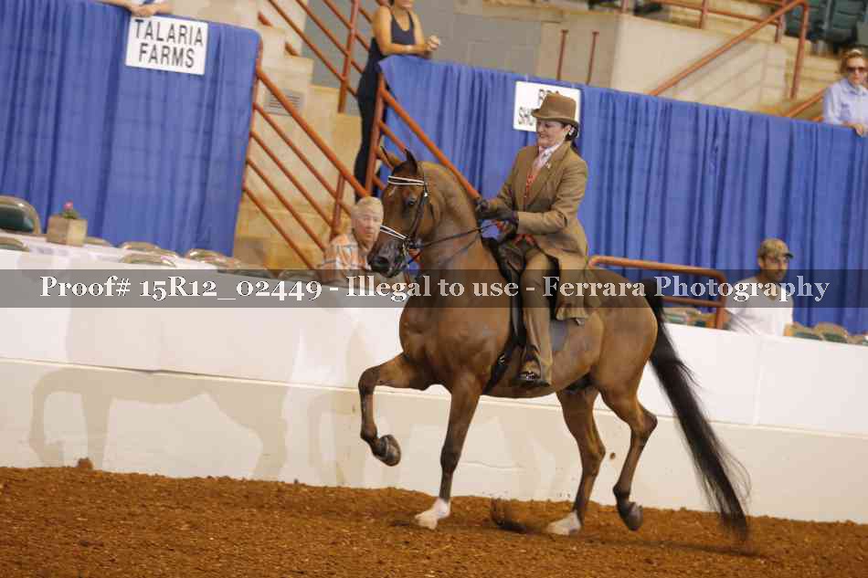 Proof 15R12_02449