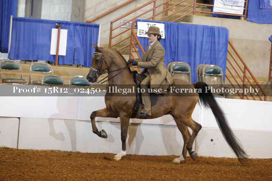 Proof 15R12_02450