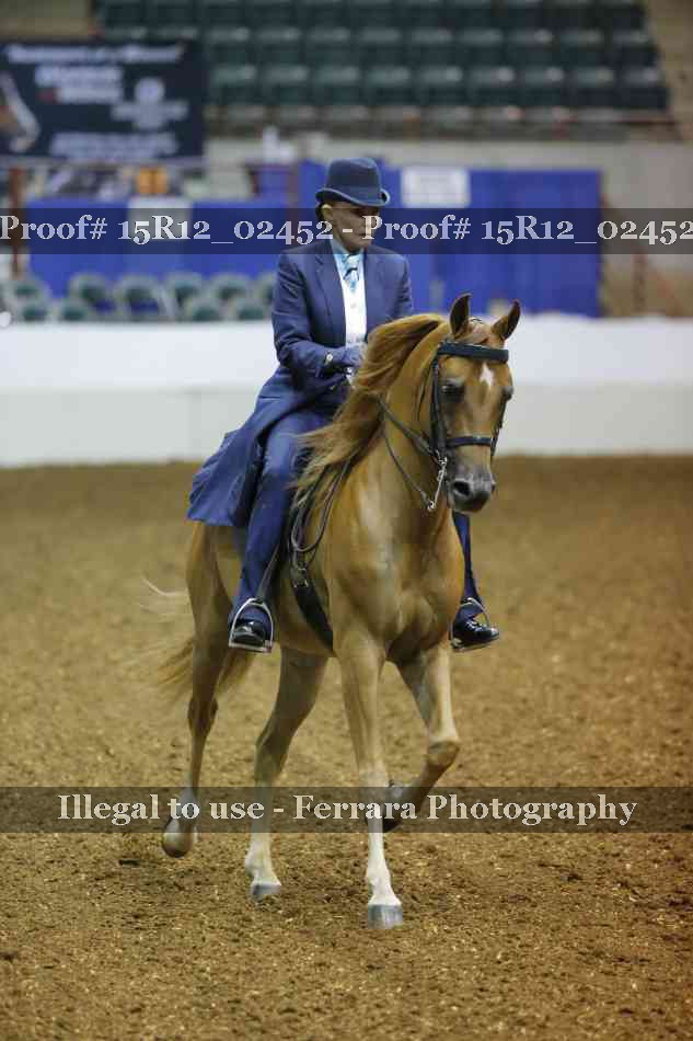 Proof 15R12_02452