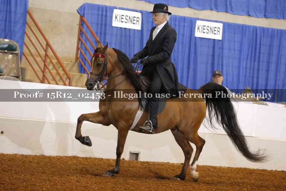 Proof 15R12_02453