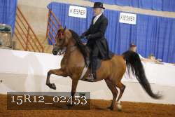 15R12_02453 proof