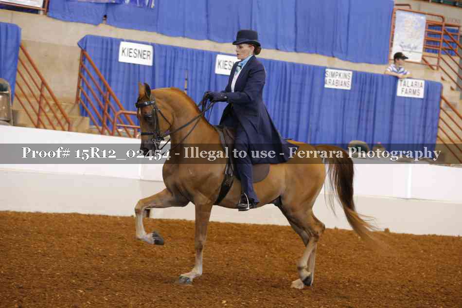 Proof 15R12_02454