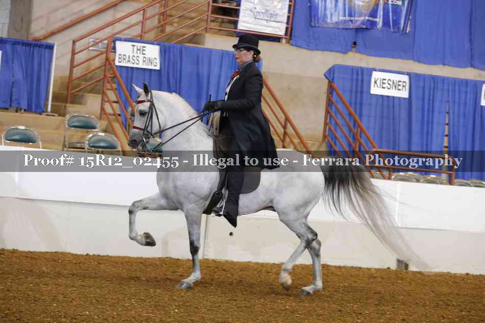 Proof 15R12_02455