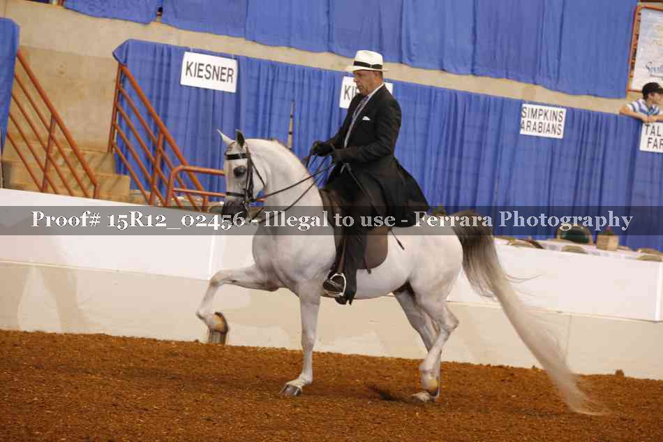 Proof 15R12_02456