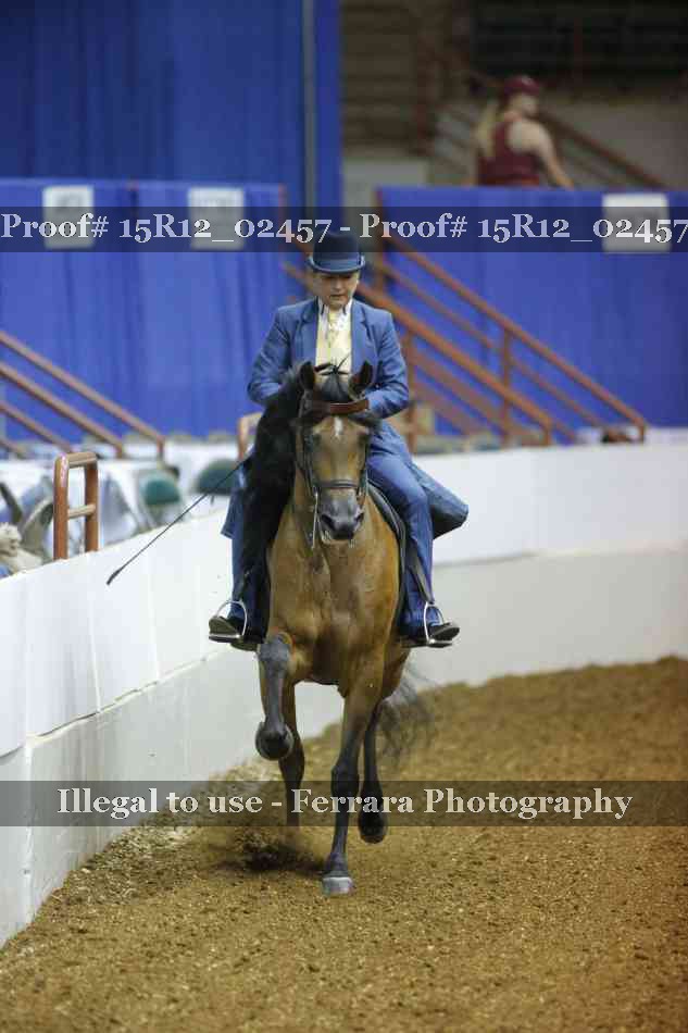Proof 15R12_02457