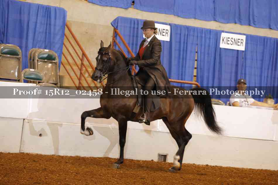 Proof 15R12_02458