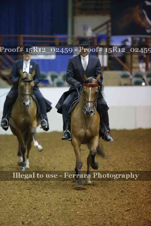 Proof 15R12_02459