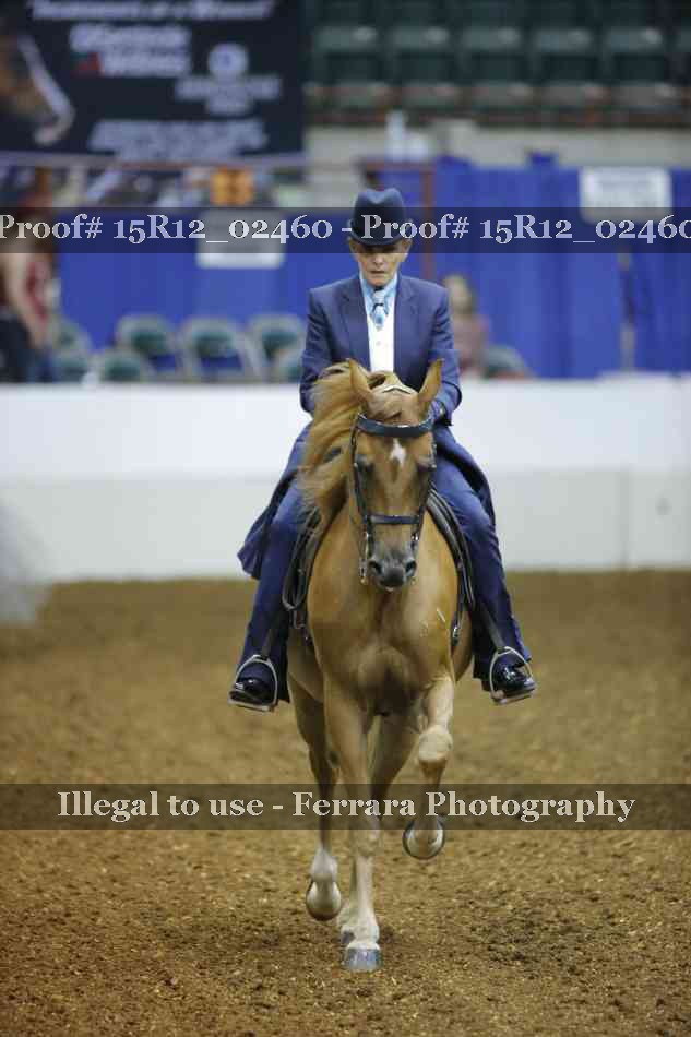 Proof 15R12_02460