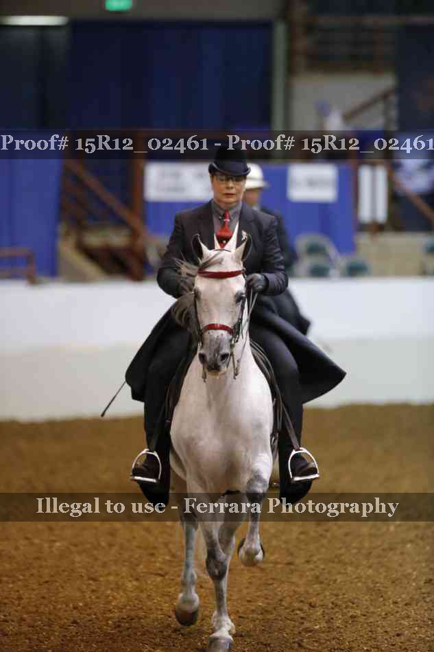 Proof 15R12_02461