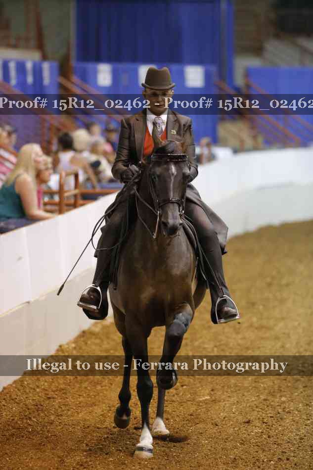 Proof 15R12_02462