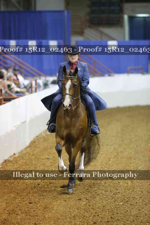 Proof 15R12_02463