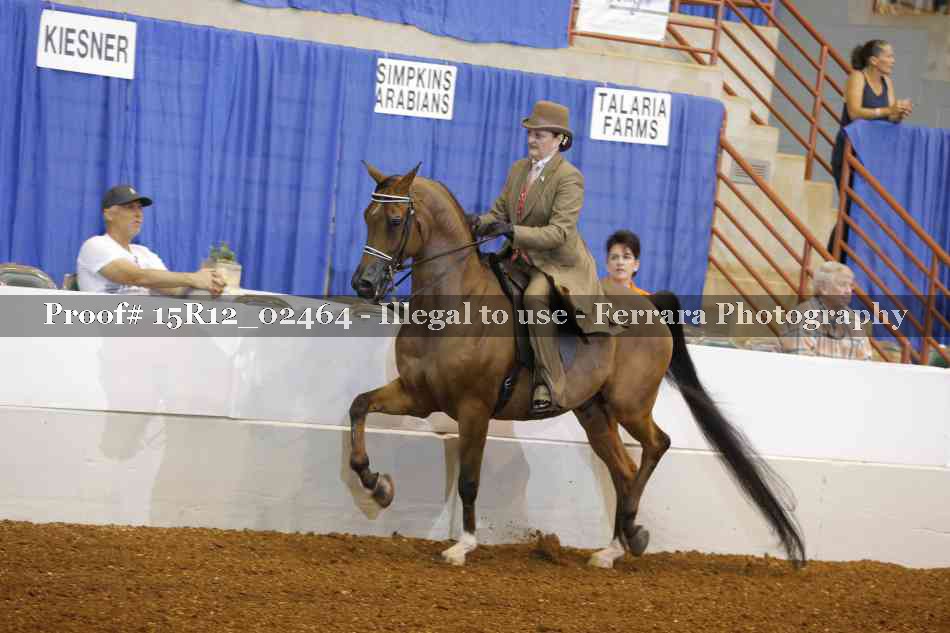 Proof 15R12_02464