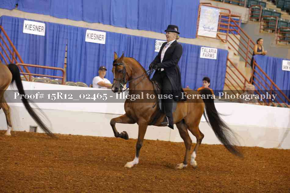 Proof 15R12_02465