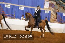 15R12_02465 proof
