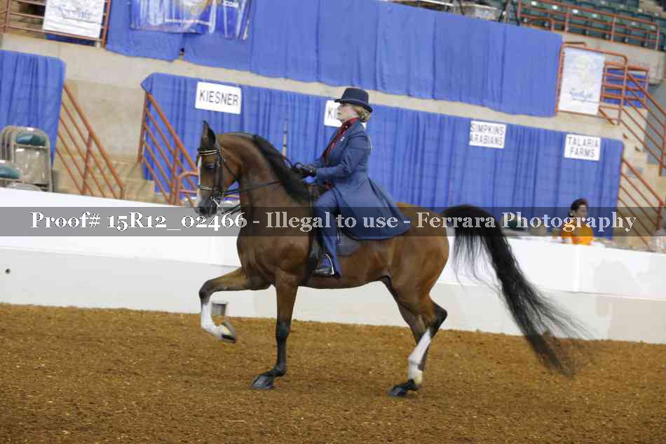 Proof 15R12_02466
