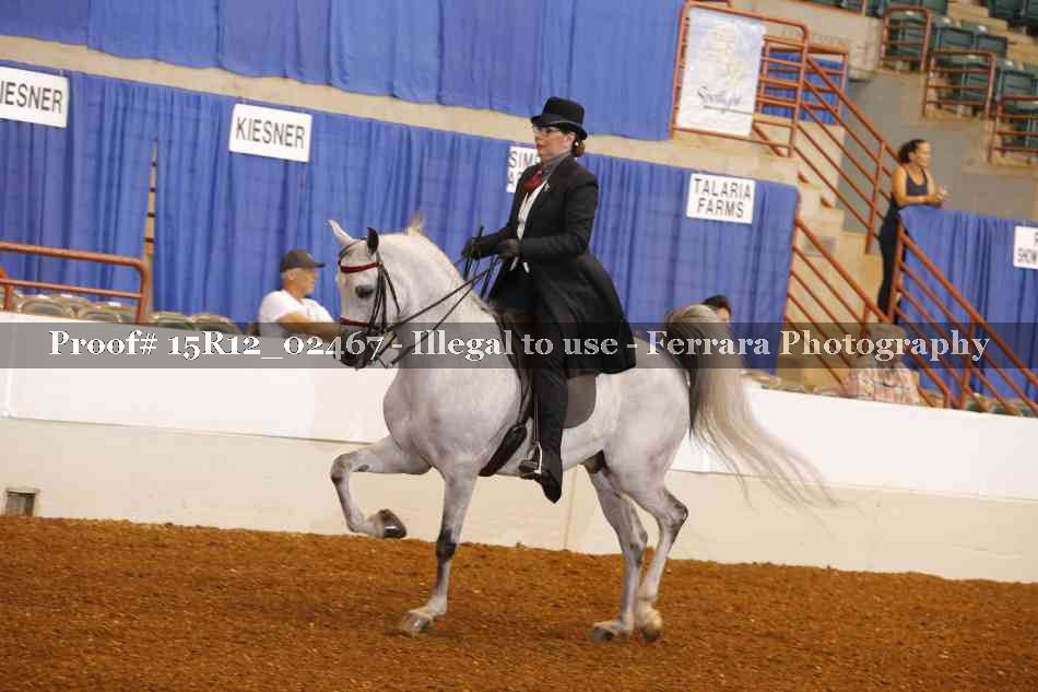 Proof 15R12_02467