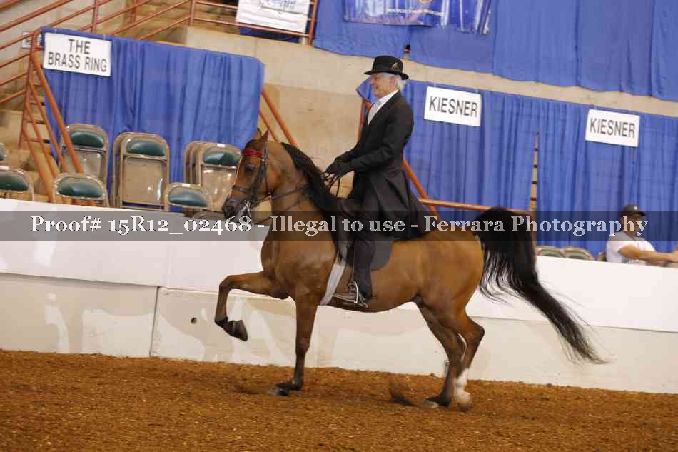 Proof 15R12_02468