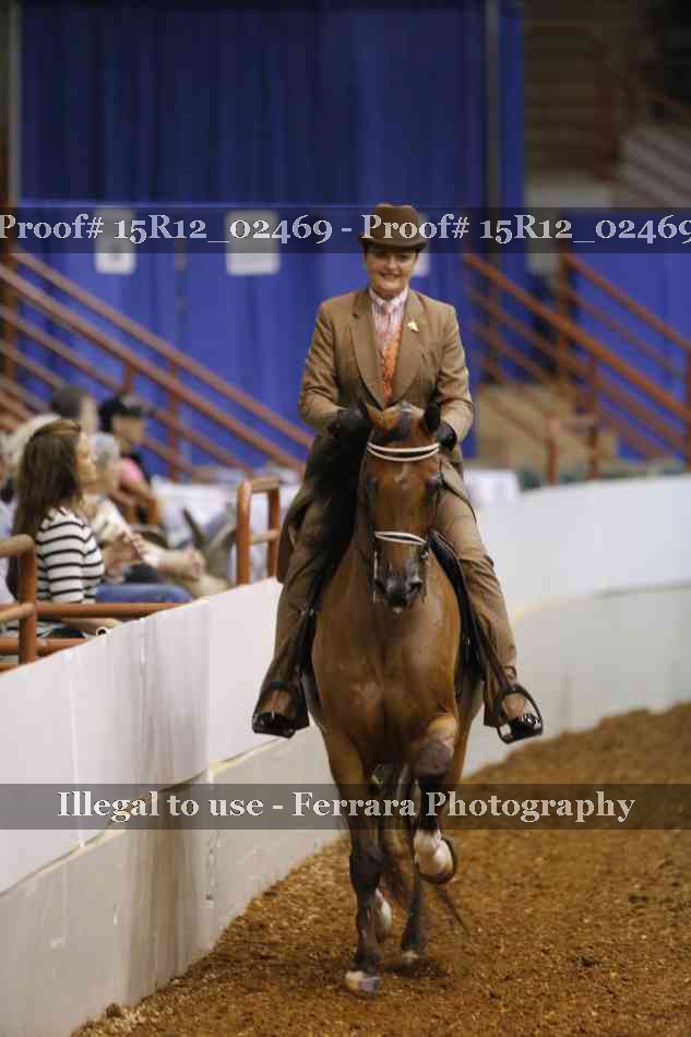Proof 15R12_02469
