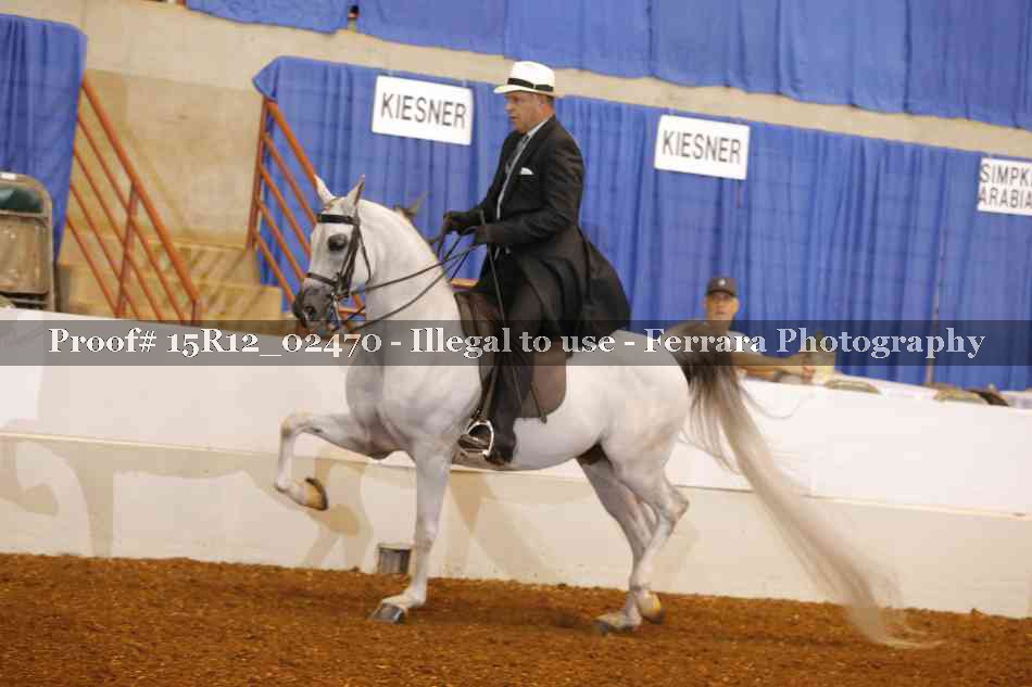 Proof 15R12_02470
