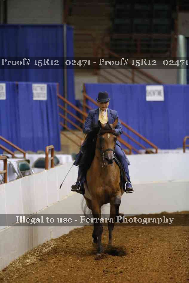 Proof 15R12_02471