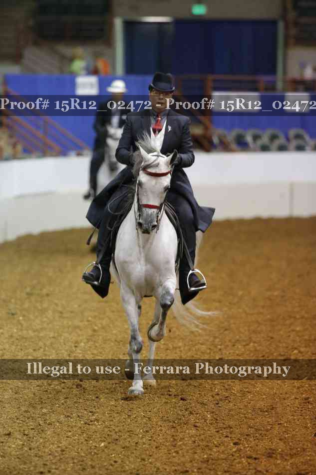 Proof 15R12_02472