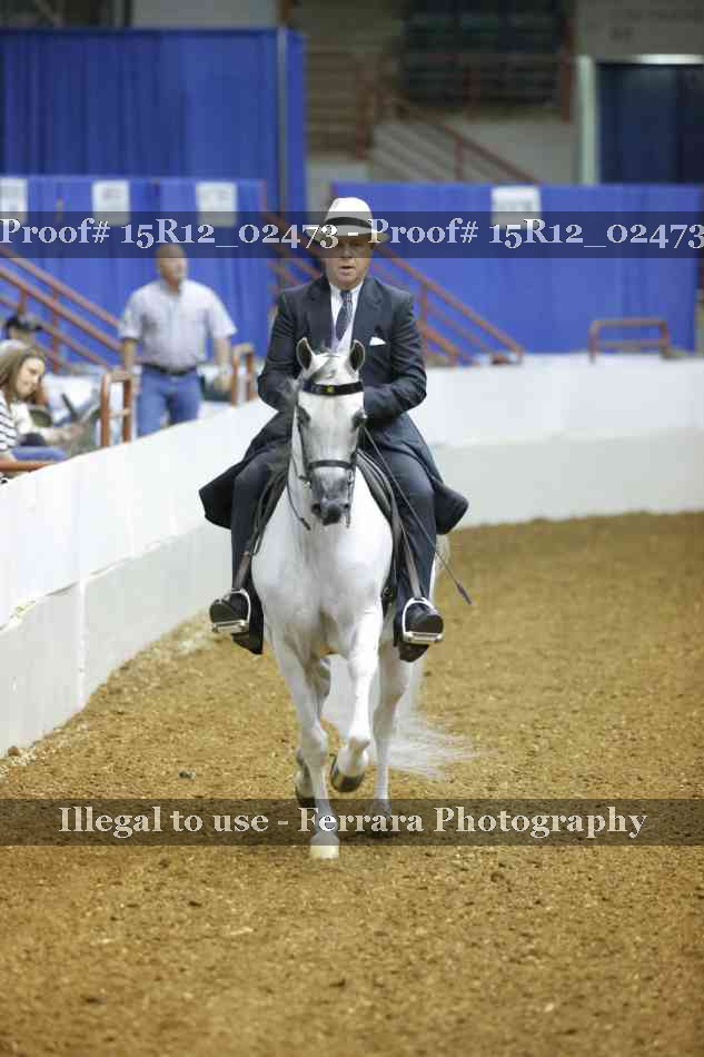 Proof 15R12_02473
