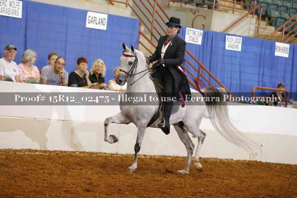 Proof 15R12_02475