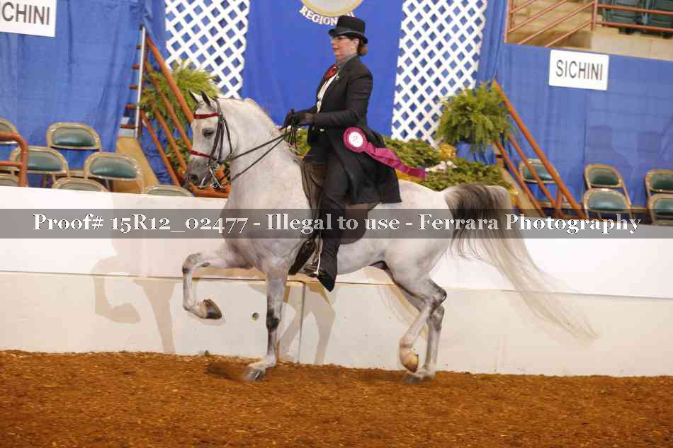 Proof 15R12_02477