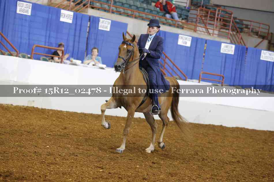 Proof 15R12_02478