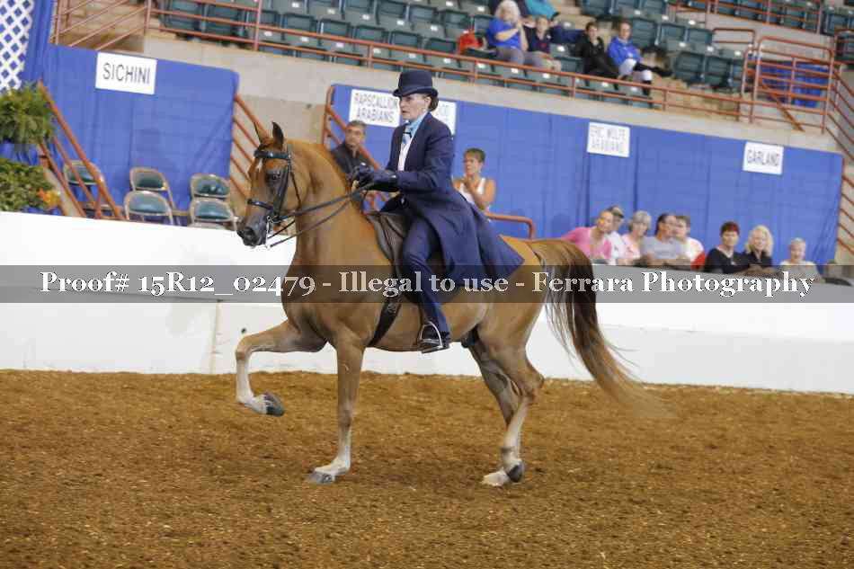 Proof 15R12_02479