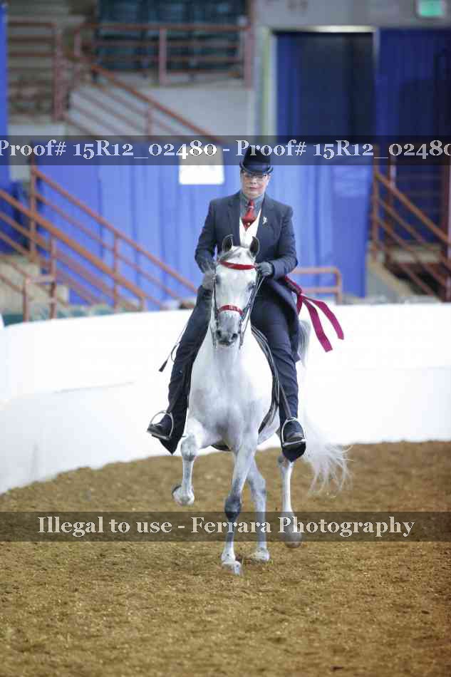Proof 15R12_02480