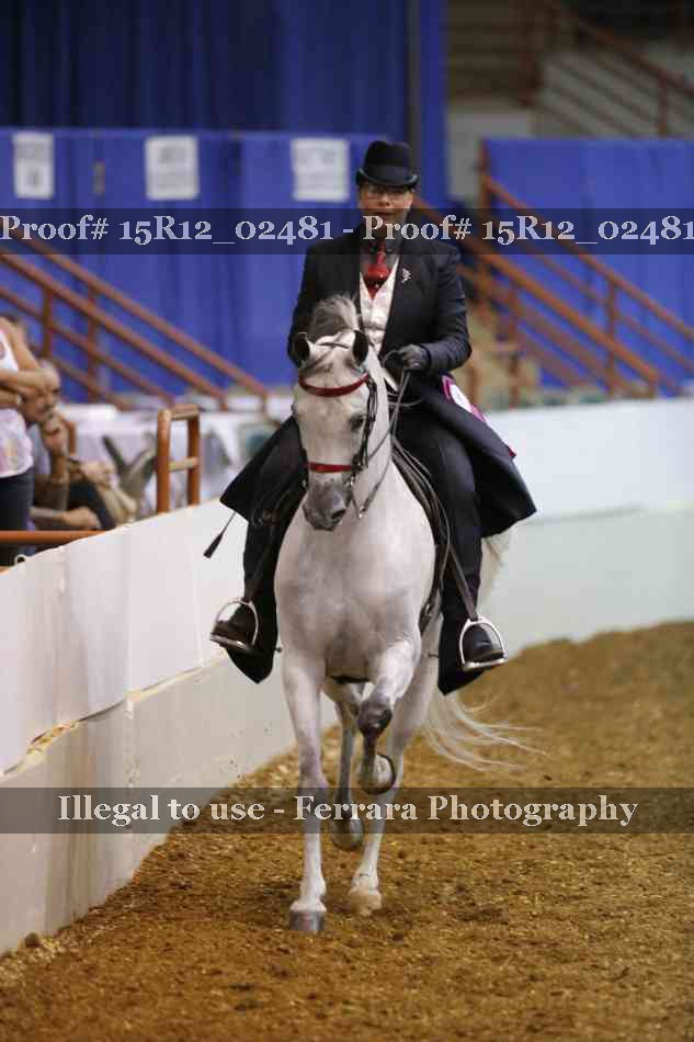 Proof 15R12_02481