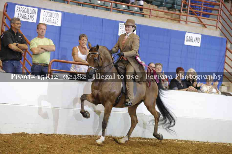 Proof 15R12_02482