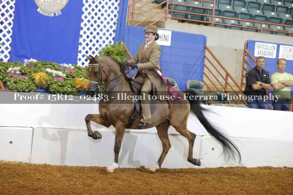Proof 15R12_02483