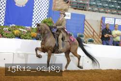 15R12_02483 proof