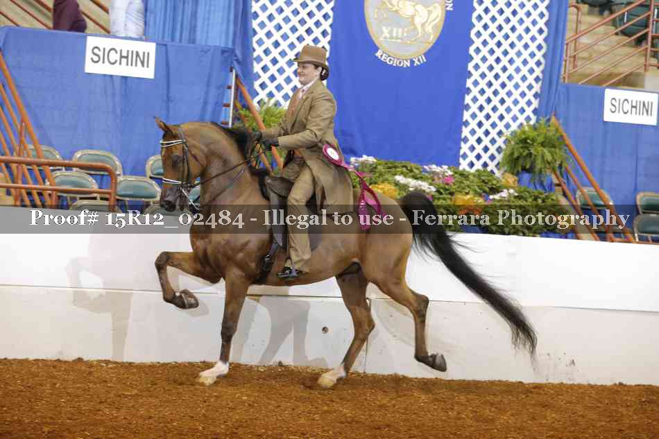 Proof 15R12_02484