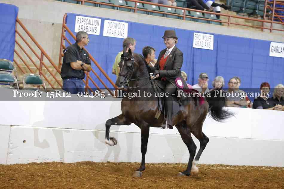 Proof 15R12_02485