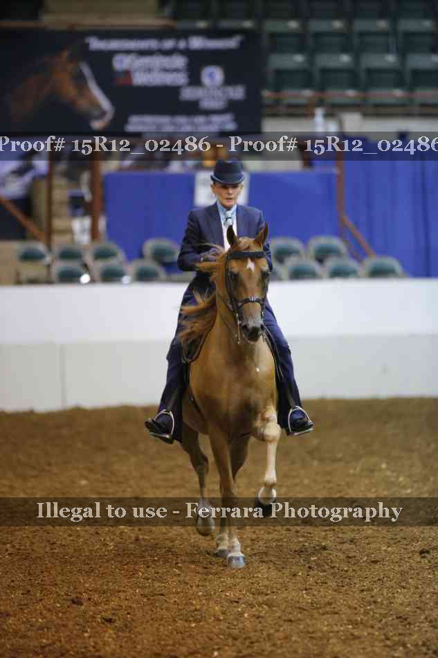 Proof 15R12_02486