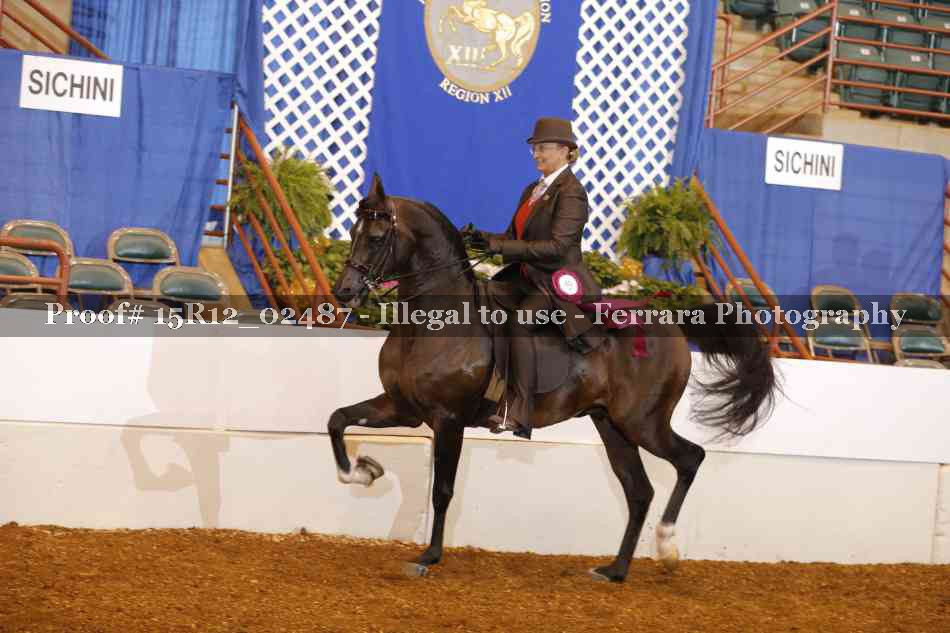 Proof 15R12_02487