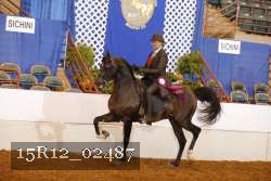 15R12_02487 proof