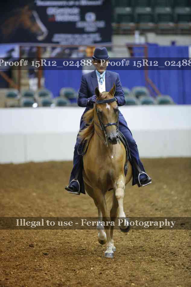 Proof 15R12_02488