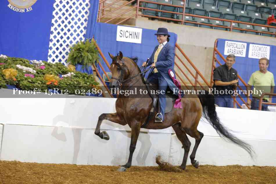 Proof 15R12_02489