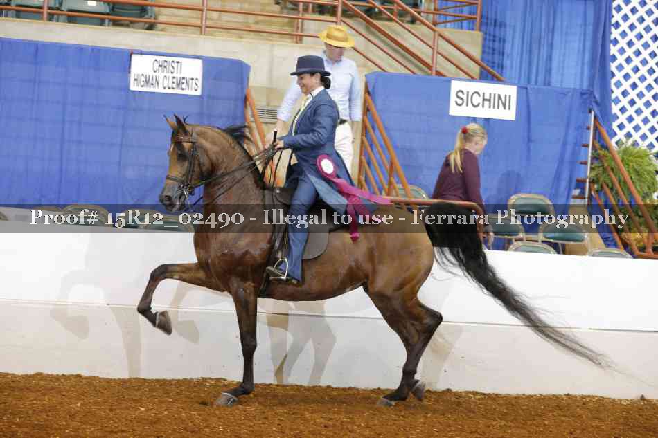 Proof 15R12_02490