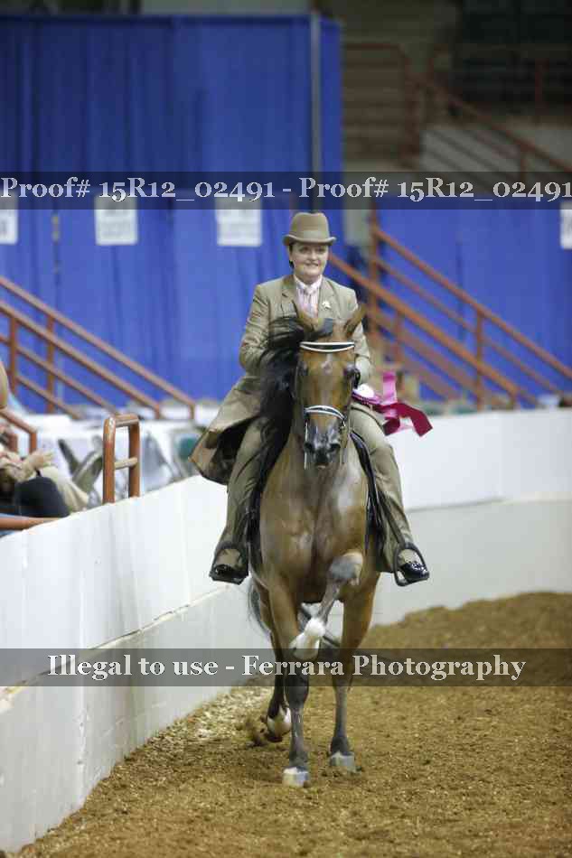 Proof 15R12_02491