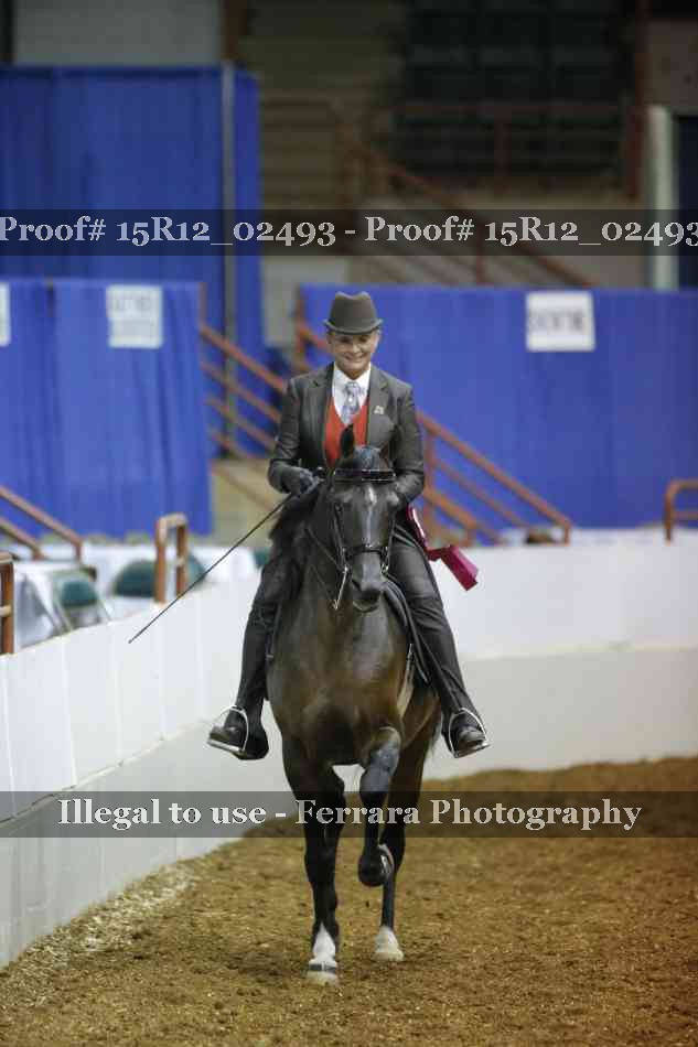 Proof 15R12_02493