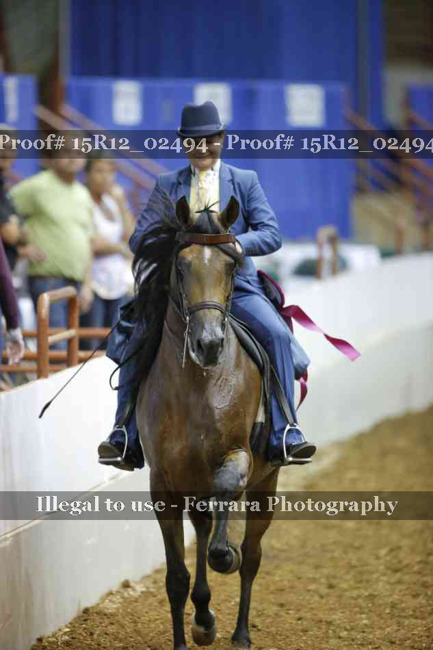 Proof 15R12_02494