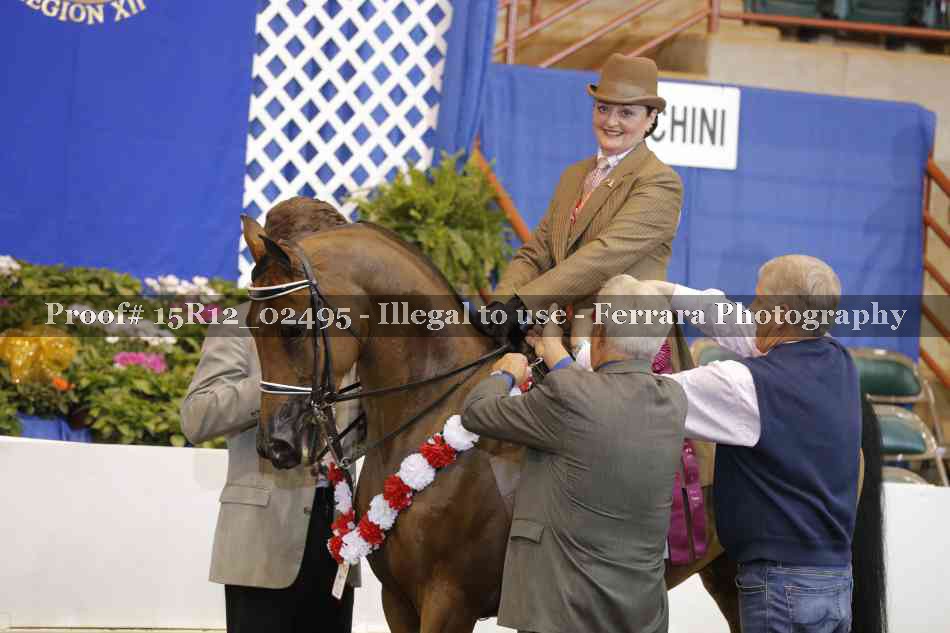 Proof 15R12_02495