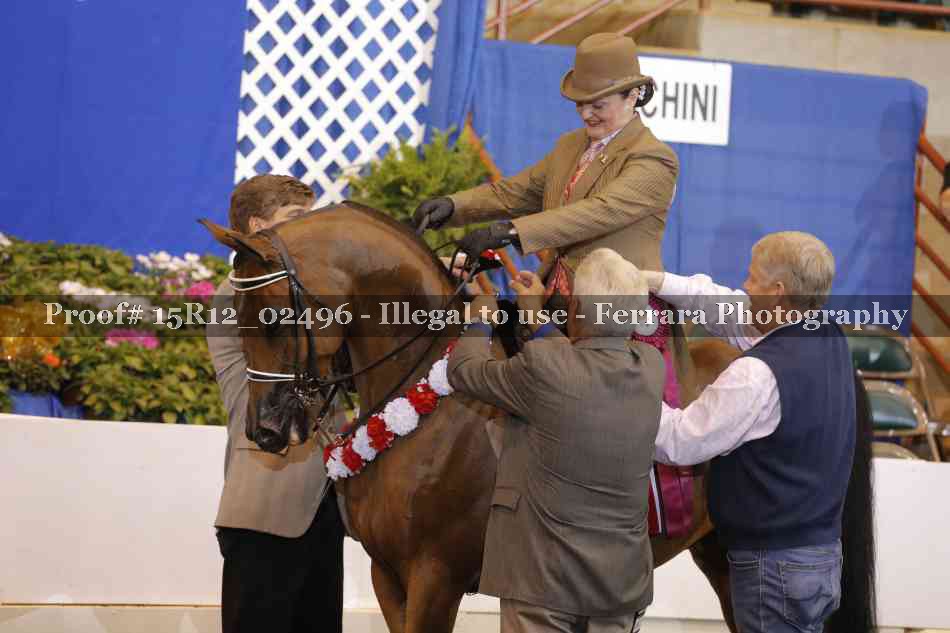 Proof 15R12_02496
