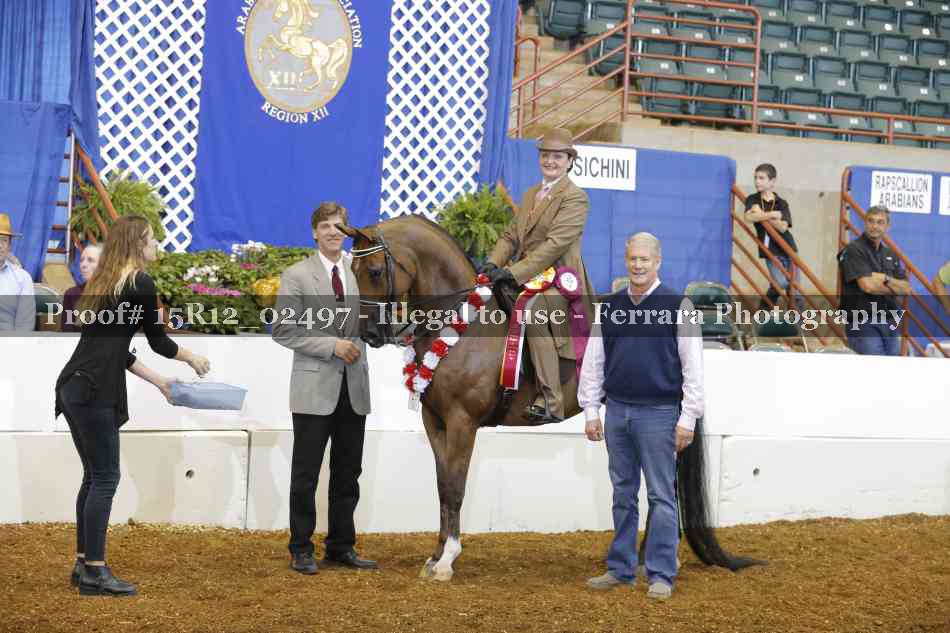 Proof 15R12_02497