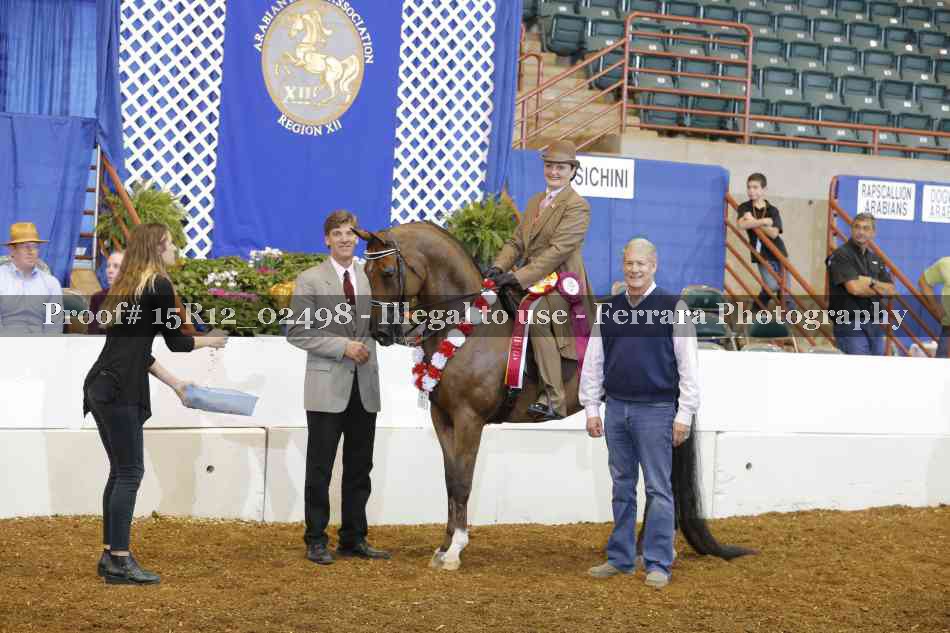 Proof 15R12_02498